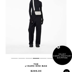 The J Marc Jacobs mini bag
